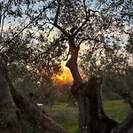 팜스테이 Borgo Medievale Di Poggio Pieve Relais, Food & Art 칼렌자노