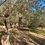 Borgo Medievale Di Poggio Pieve Relais, Food & Art 칼렌자노