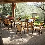 Borgo Medievale Di Poggio Pieve Relais, Food & Art 팜스테이 칼렌자노