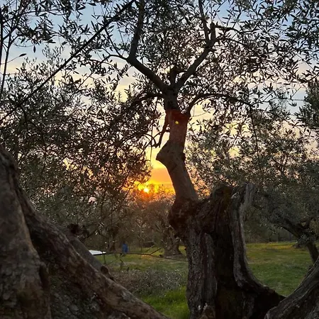 Çiftlik konaklama Borgo Medievale Di Poggio Pieve Relais, Food & Art Calenzano