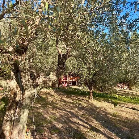 Borgo Medievale Di Poggio Pieve Relais, Food & Art Calenzano