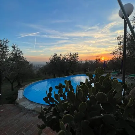 Borgo Medievale Di Poggio Pieve Relais, Food & Art