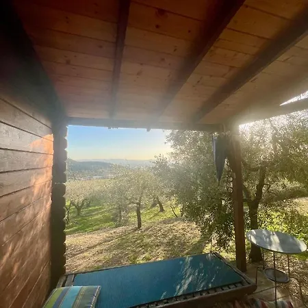Çiftlik konaklama Borgo Medievale Di Poggio Pieve Relais, Food & Art
