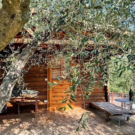 Borgo Medievale Di Poggio Pieve Relais, Food & Art * 칼렌자노