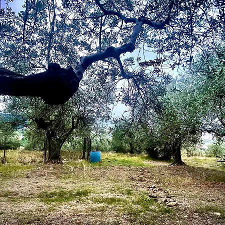 Borgo Medievale Di Poggio Pieve Relais, Food & Art Séjour à la ferme