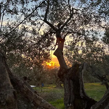Farm stay Poggio Pieve Relais Calenzano