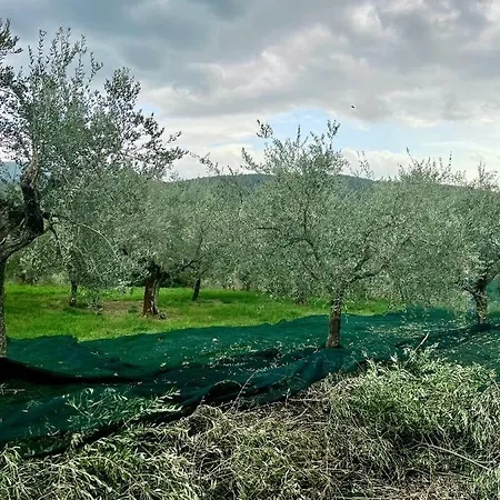 Poggio Pieve Relais *
